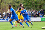 Jubel RSV, RSV Eintracht 1949 - VFC Plauen, 28. Spieltag, Oberliga S&uuml;d, Saison 25/26, Fussball, 09.05.2026, Stahnsdorf, Foto: Benjamin Feller